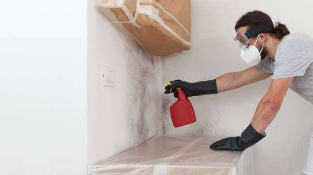 Professional Black Mold Removal technician working in Stevenson, MD