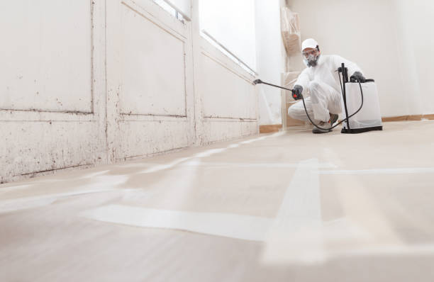 24/7 Emergency Black Mold Removal experts in Stevenson, MD
